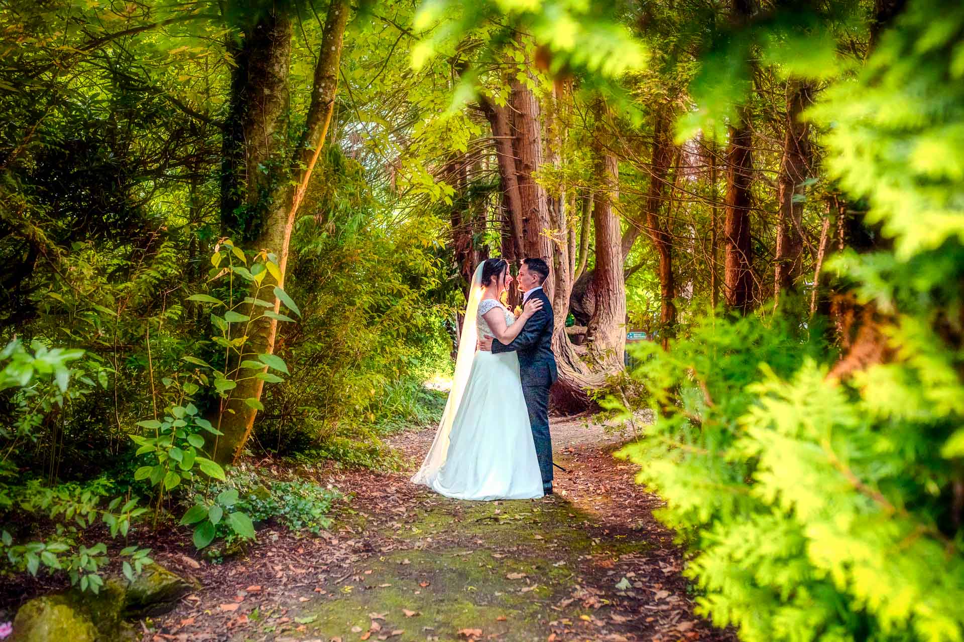 Bride and groom kissing under the old oak tree at Gougane Barra, Cork, JOD'Photography