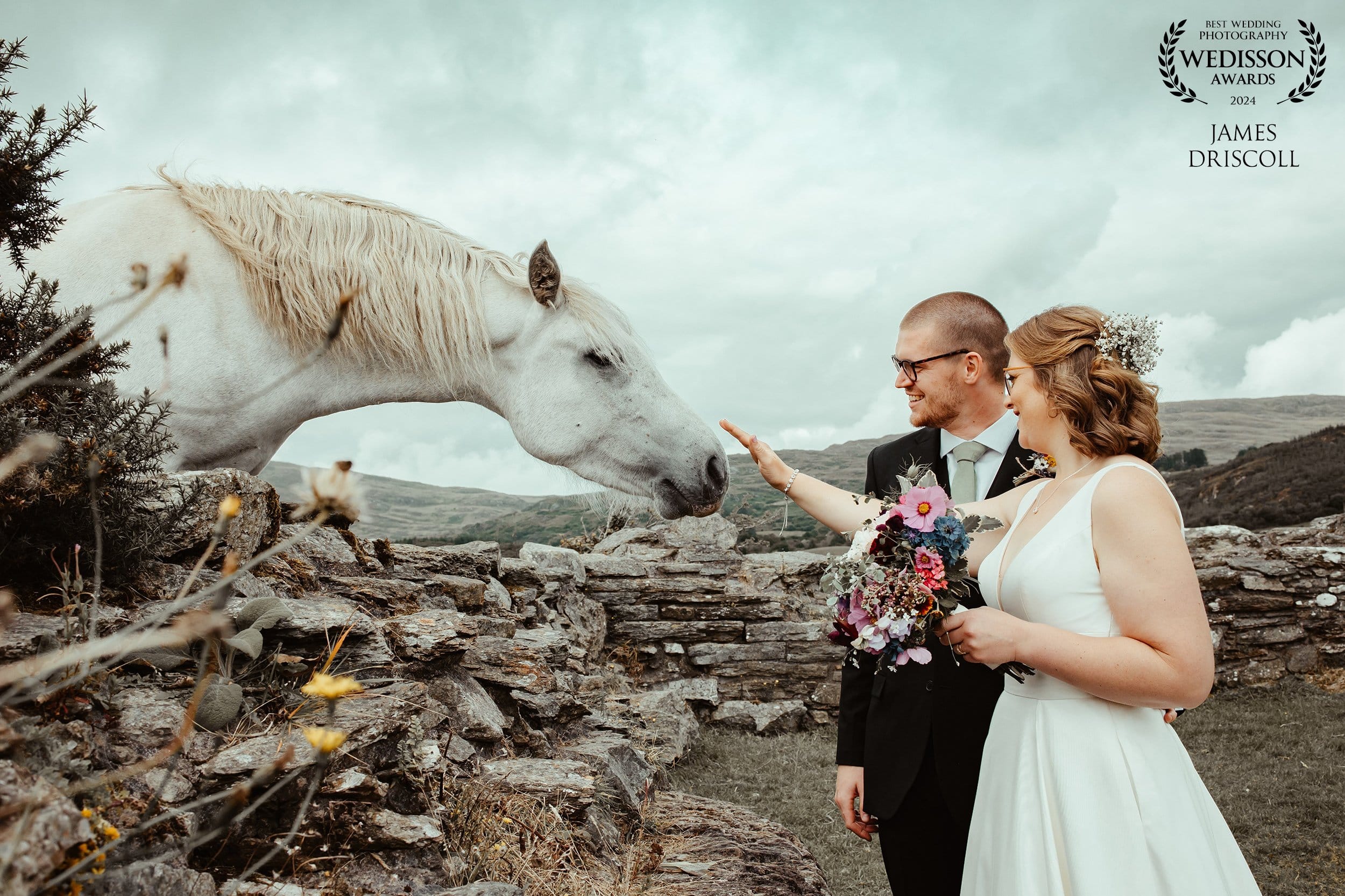 Bride and groom petting a wild horse in Co Cork