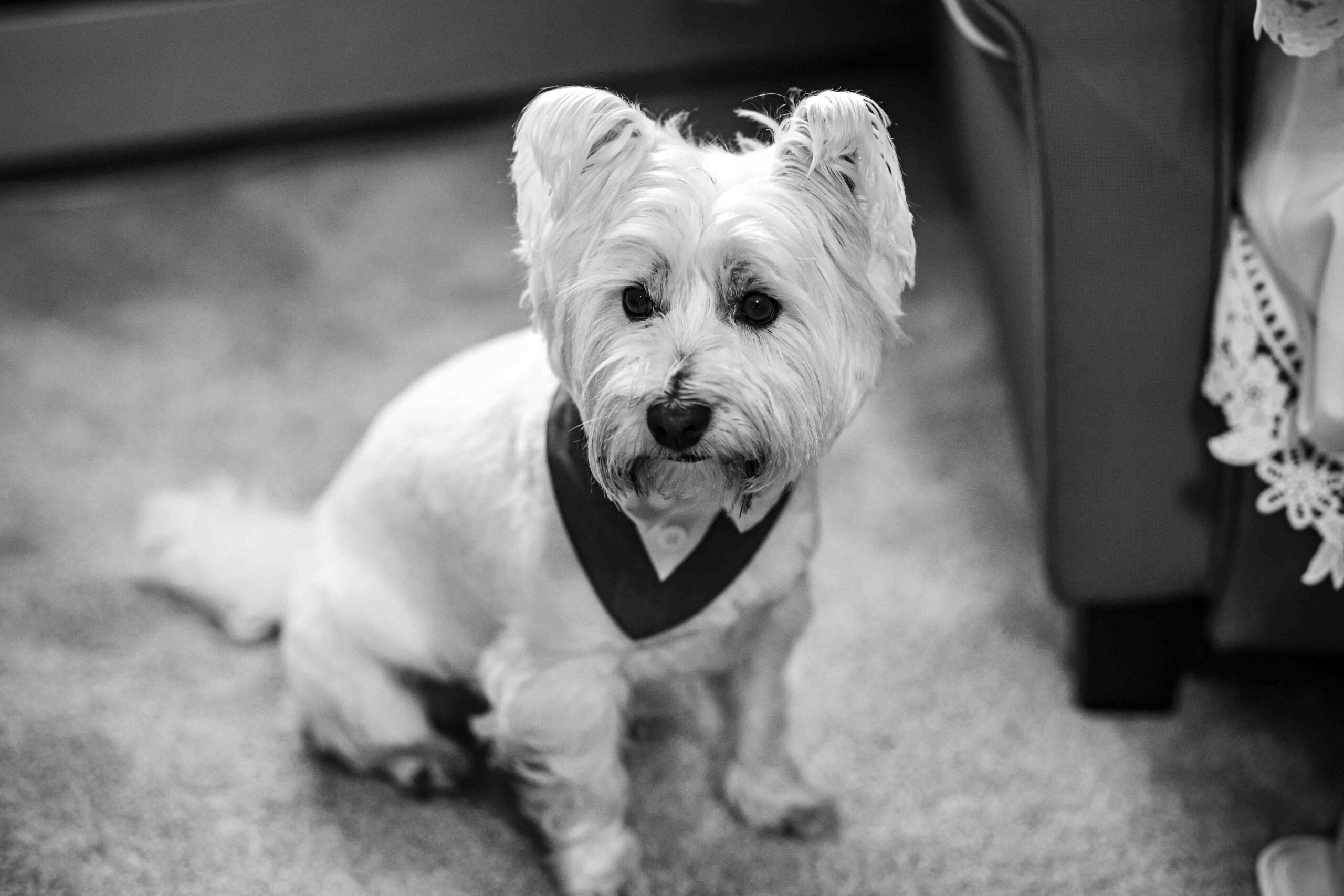 Romantic Tipperary wedding photoshoot — JOD Photography