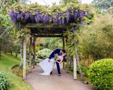 Waterford wedding photography in spring gardens