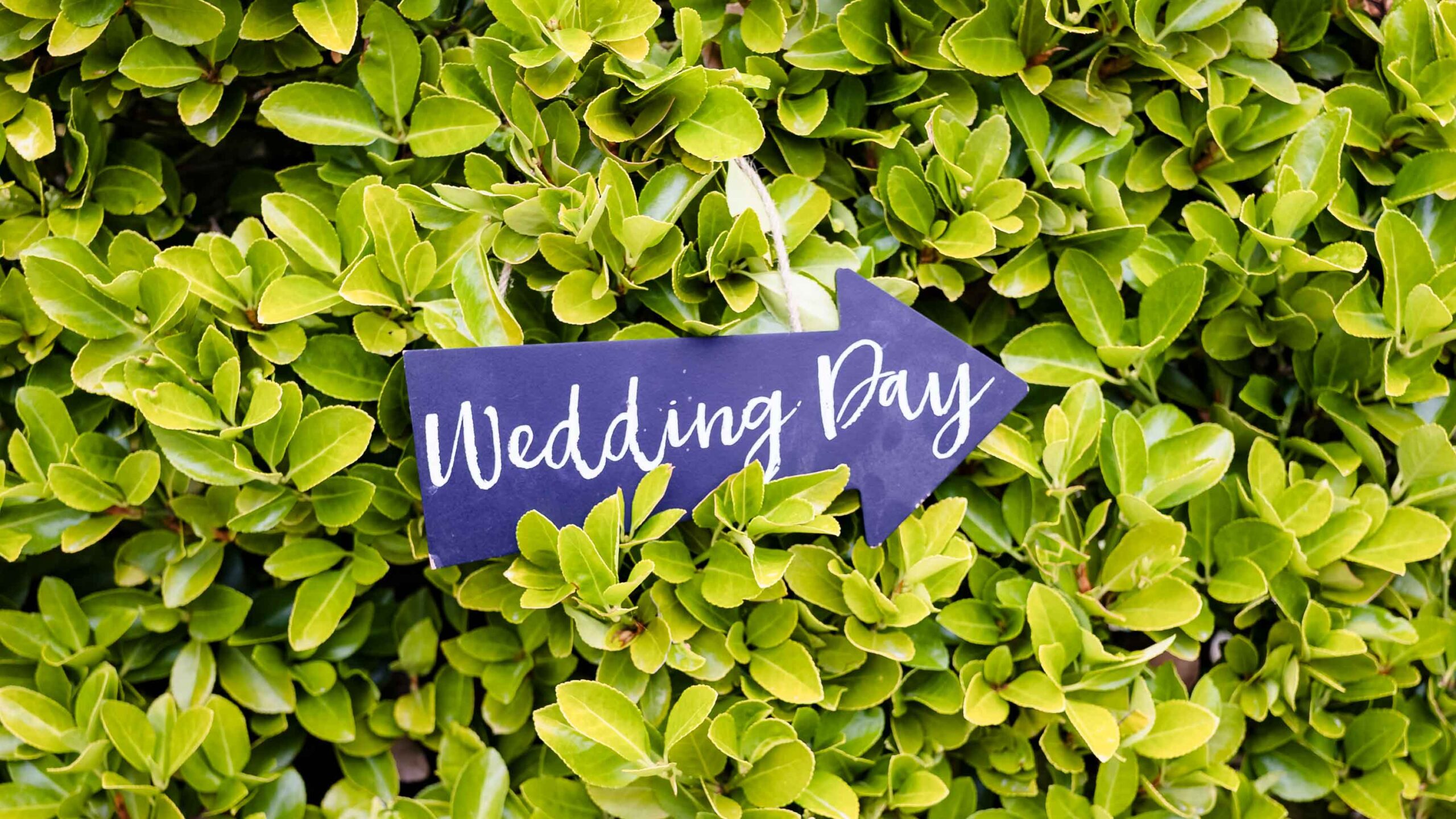 Japanese Gardens wedding photography with spring flowers
