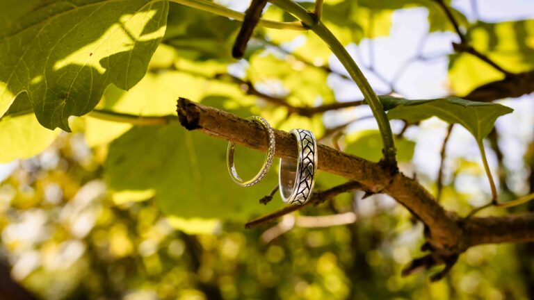 Close-up of the wedding rings resting on a branch